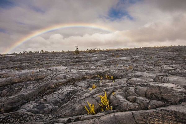 HI, Big Island Rainbow over old hardened lava